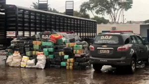 Leia mais sobre o artigo DOF apreende quase 5 toneladas de maconha em caminhão boiadeiro