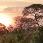 Desmatamento de 2,9 mil hectares em fazenda no Pantanal é alvo de ação do MPE