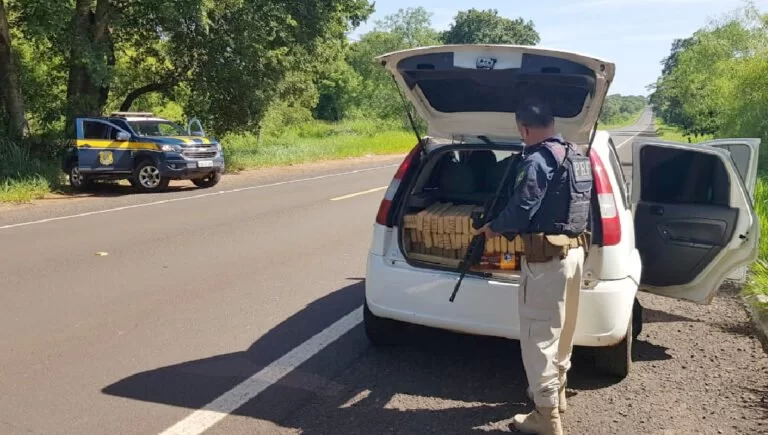 448 quilos de maconha