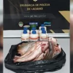 Foragido da justiça é preso ao ser autuado por pesca e comercialização de peixe na piracema