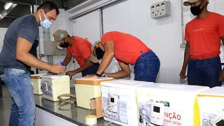 quarto lote de vacinas