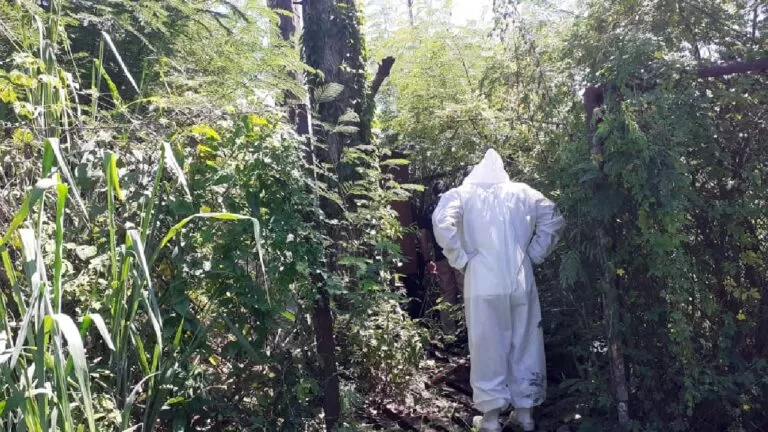 Durante limpeza de terreno funcionários encontram corpo em decomposição no Popular Velha