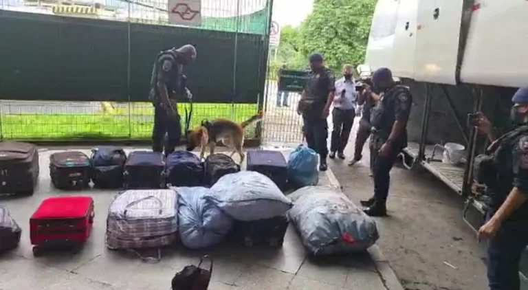 Ônibus clandestino que transportava 34 bolivianos é apreendido em São Paulo