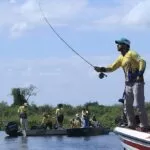 Aberta temporada de pesca em MS; veja regras vigentes e como emitir a Carteira Digital