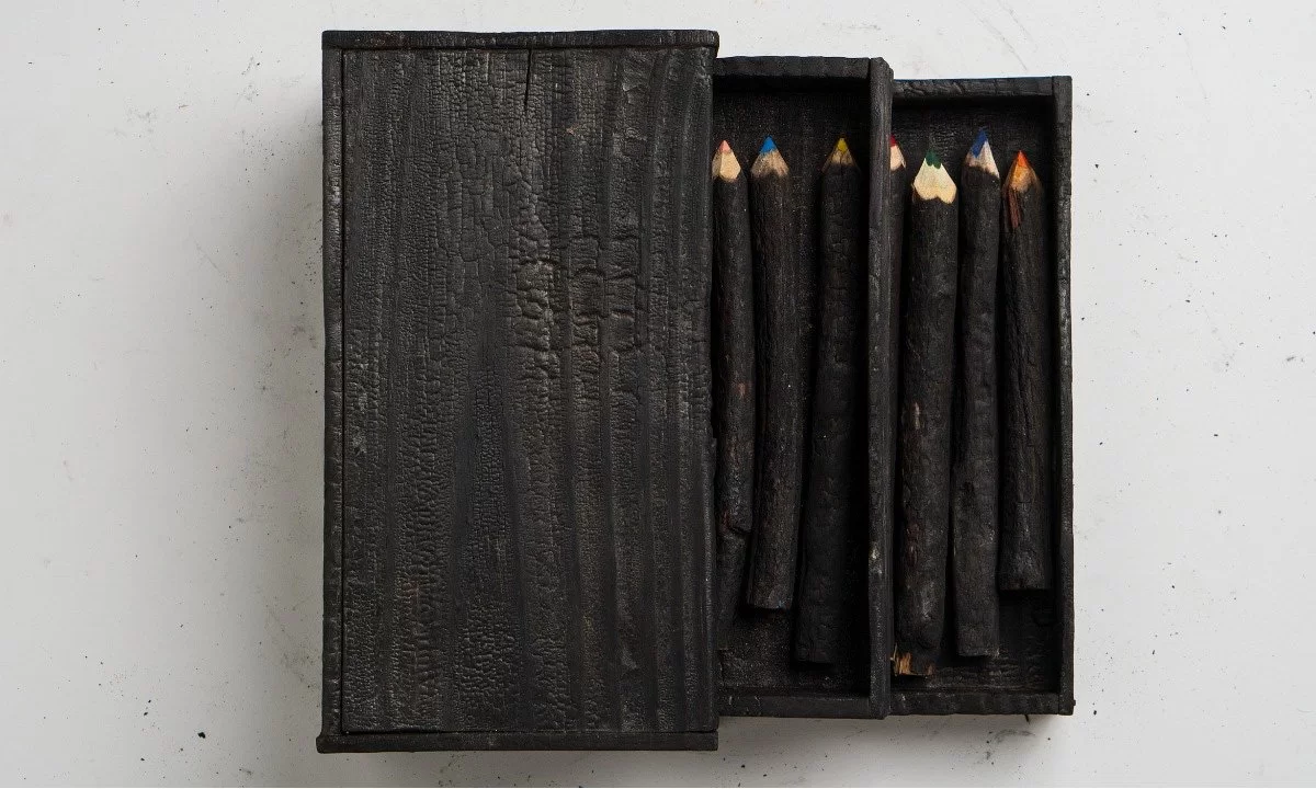 Você está visualizando atualmente Caixa com lápis de madeira carbonizada no Pantanal é vendida a R$742.997,00