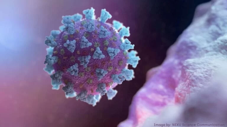 Covid-19: boletim epidemiológico relata 1.175 casos e 31 mortes nas últimas 24 horas