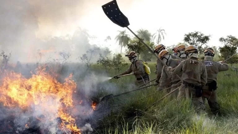 151 bombeiros passam por capacitação para reforçar combate a incêndios florestais
