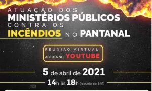 Leia mais sobre o artigo Ministérios Públicos vão apresentar estudo sobre pontos de ignição dos incêndios no Pantanal e estratégias para 2021