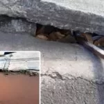 Vereadora cobra limpeza e desobstrução de manilhas na rua Frei Mariano | vídeo