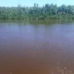 Corpo é encontrado boiando no Rio Paraguai na região da Barra do São Lourenço