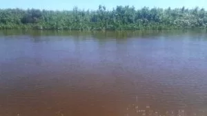 Leia mais sobre o artigo Mulher morre e 2 crianças desaparecem após colisão de embarcações no Rio Paraguai