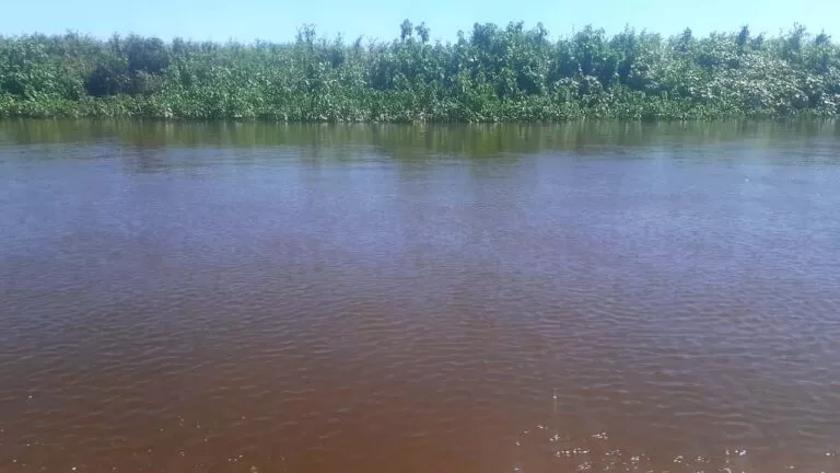Corpo é encontrado boiando no Rio Paraguai na região da Barra do São Lourenço
