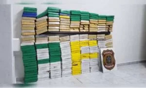 Leia mais sobre o artigo Polícia Federal apreende 280 quilos de cocaína na parte alta de Corumbá