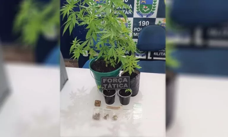 Força Tática prende homem por cultivo e produção de maconha em Corumbá