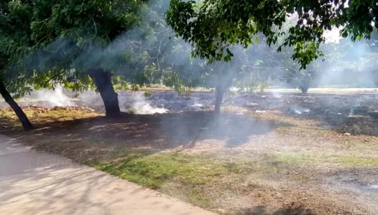 Homem é preso após ser flagrado ateando fogo em terreno