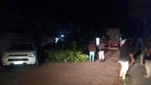 Leia mais sobre o artigo Caminhão derruba galho de árvore, danifica veículo e fiação elétrica no Maria Leite