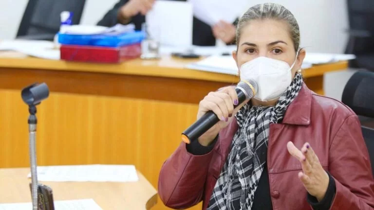 Vereadora cobra mais segurança no trânsito na área urbana da BR-262 em Corumbá