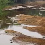 Falta de chuva já afeta 80% das propriedades do Pantanal