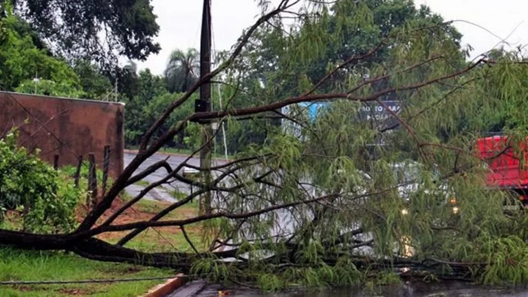 Defesa Civil emite alerta para perigo potencial de vendaval nesta quarta-feira