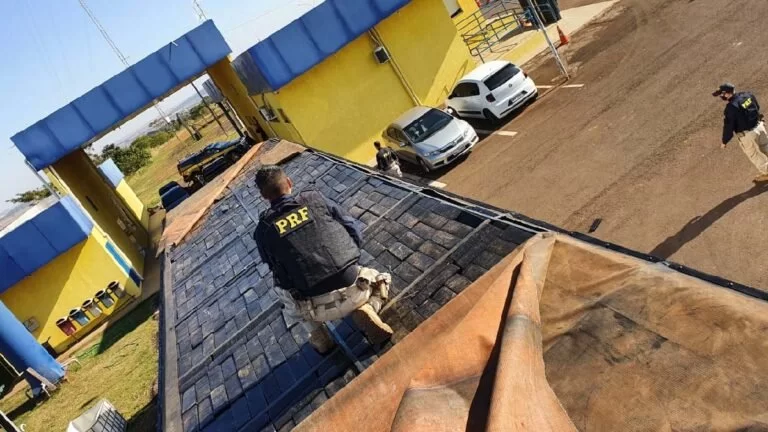 PRF apreende quase duas toneladas de maconha em caminhão que seguia de MS para SP