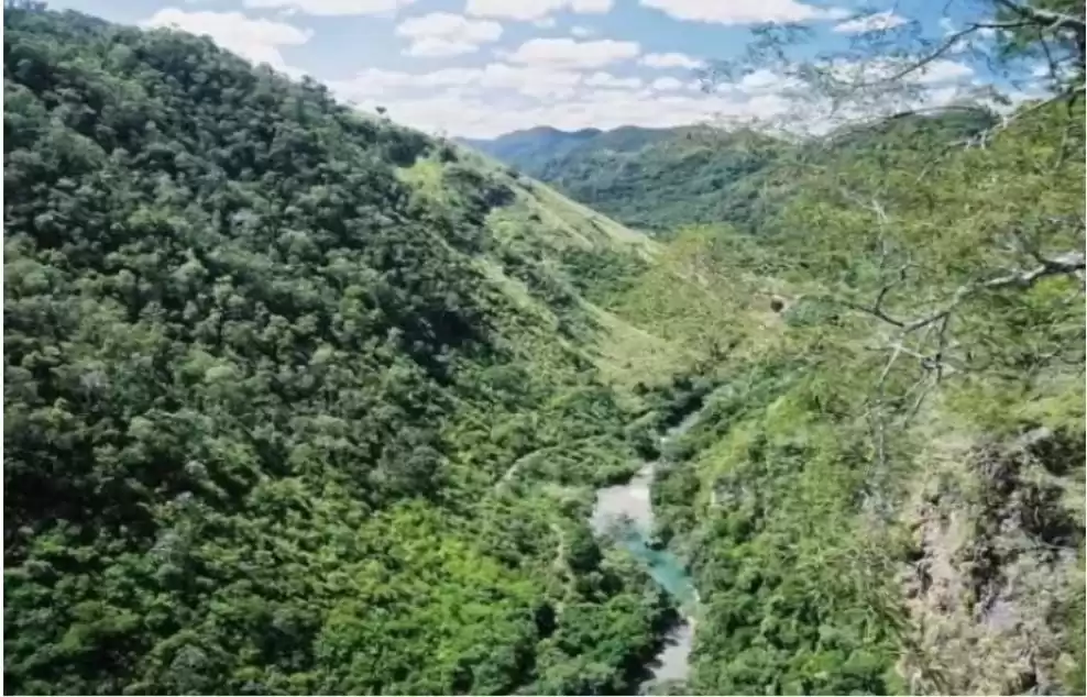 Leia mais sobre o artigo Mais de um campo de futebol ao dia: Bonito lidera desmatamento da Mata Atlântica