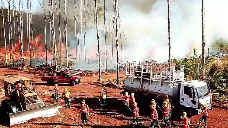 Pantanal tem 81% de redução em focos de calor em 2021