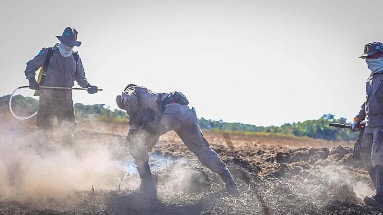 Bombeiros mantém combate a focos de incêndios que atingem o Pantanal | Vídeo