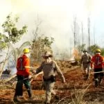 Calor e tempo seco devem retornar e força-tarefa se mantém ativa no Pantanal