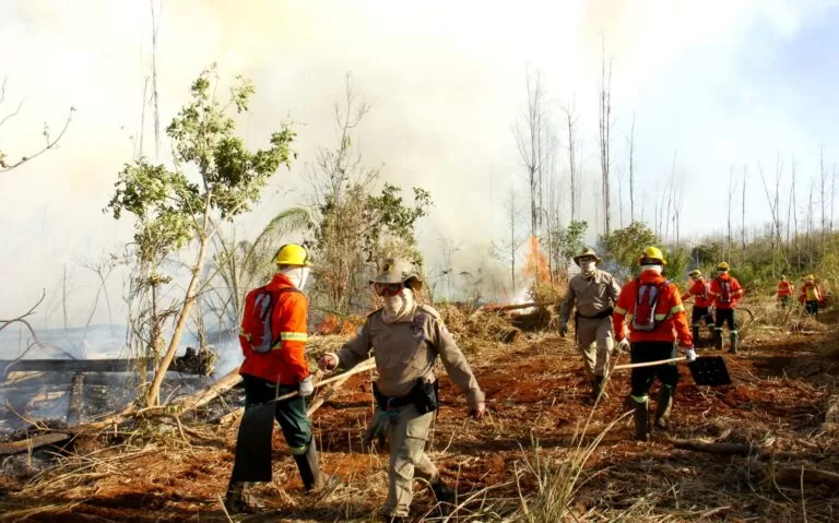 Calor e tempo seco devem retornar e força-tarefa se mantém ativa no Pantanal