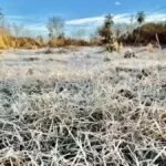 Frio ganha força e aumenta chance de geada nesta quinta-feira