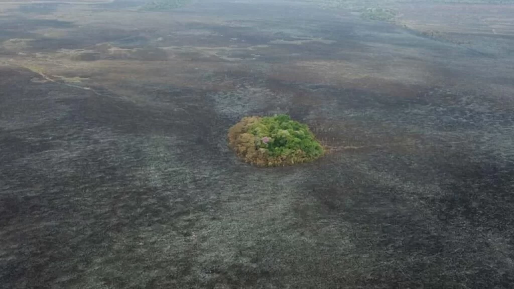 ilhas verdes queimadas