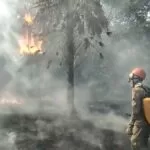 Bombeiros combatem incêndio em área no Maria Leite