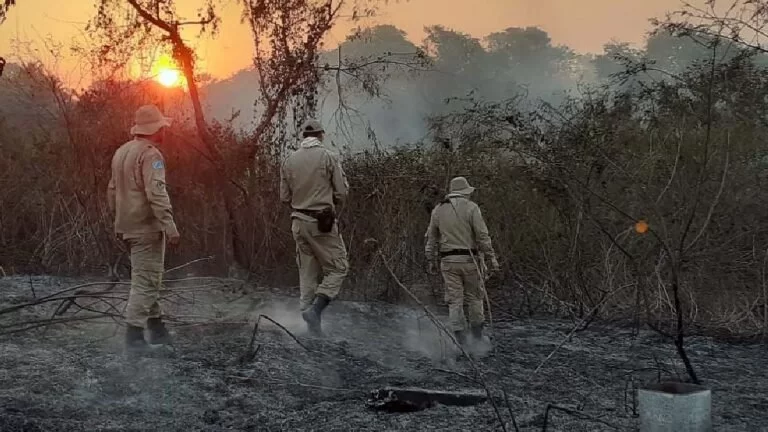 Bombeiros combatem focos de incêndios na região de Porto Morrinho