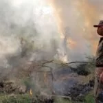 Mulher é multada por provocar incêndio em vegetação na área urbana de Corumbá