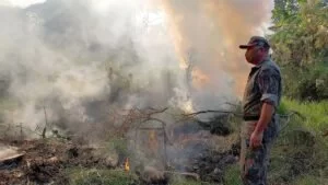 Leia mais sobre o artigo Mulher é multada por provocar incêndio em vegetação na área urbana de Corumbá