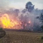 Vereadores de Corumbá cobram ajuda do governo federal para evitar desastre ambiental no Pantanal