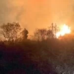 Focos de incêndios avançam sobre o Pantanal da Nhecolândia | Vídeo