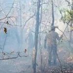 Monitoramento por satélite auxilia trabalho de controle das queimadas no Pantanal