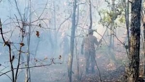 Leia mais sobre o artigo Monitoramento por satélite auxilia trabalho de controle das queimadas no Pantanal