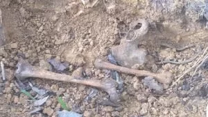 Leia mais sobre o artigo Homem encontra ossada humana durante roçada em terreno na região central de Corumbá