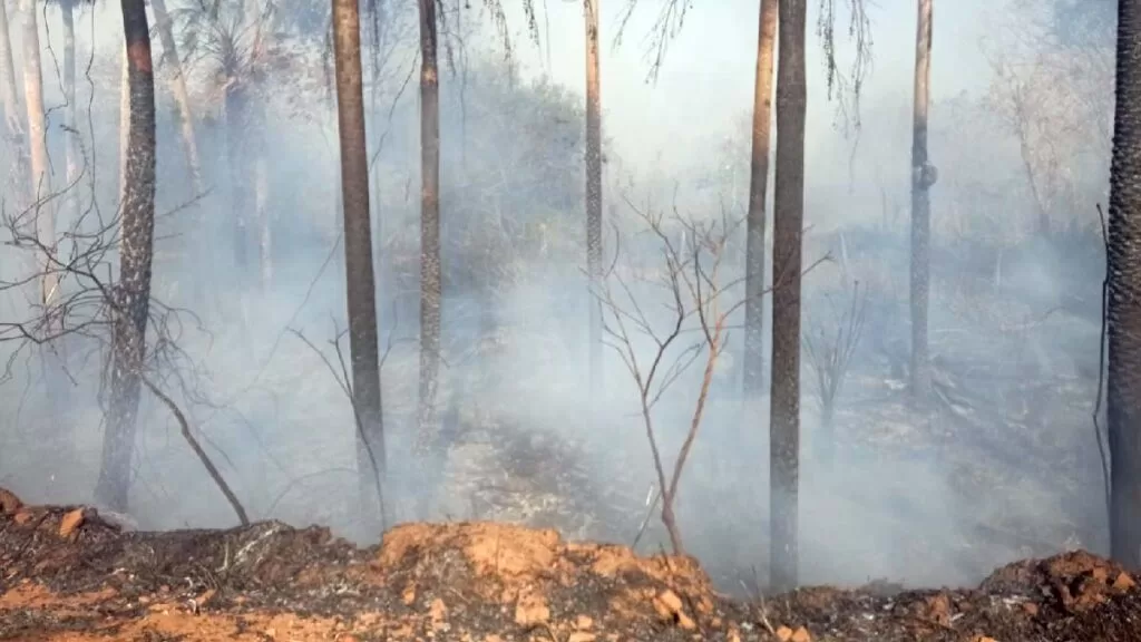queimada carandazal2 incêndio na região do Carandazal