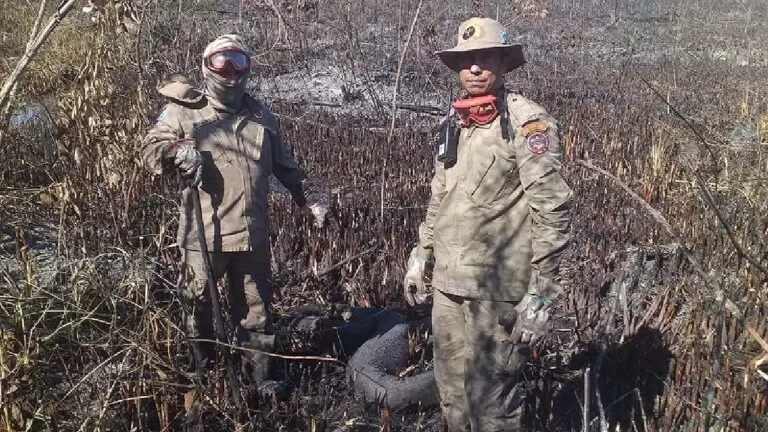 Bombeiros Militares encerram Operação Hefesto nesta terça-feira