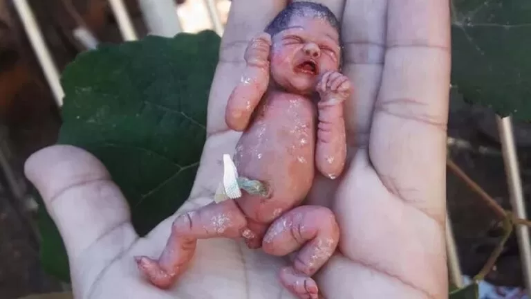 Artesã goiana impressiona ao recriar miniaturas de bebês reais