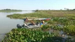 Leia mais sobre o artigo Buscas por corpo de criança desaparecida no rio Paraguai entram no 6º dia
