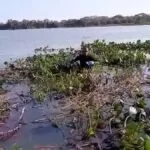 Buscas por criança que desapareceu no rio Paraguai são encerradas