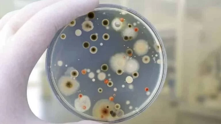 SES recebe 3ª notificação de caso suspeito de Fungo Negro em MS