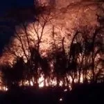 No Pantanal, bombeiros combatem incêndio que se aproxima da BR-262