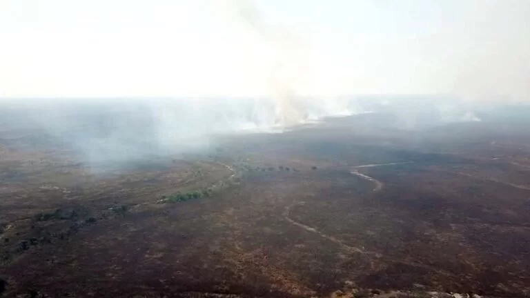Fazendeiro é multado em mais de R$ 1 milhão por incêndio no Pantanal