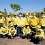 Governo Federal vai investir R$ 167 milhões em ações de combate a incêndios no Pantanal