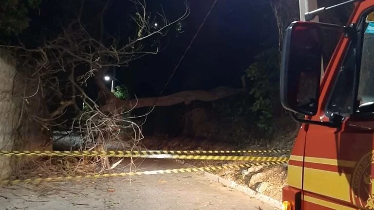 Queda de árvore e acidente de trânsito mobilizam equipes do Corpo de Bombeiros